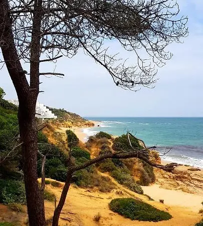 Albufeirasun, Arrive As A Guest Leave As A Friend. Apartamento *