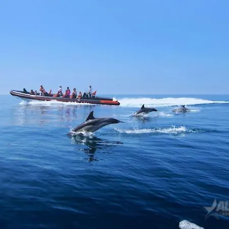 Albufeirasun, Arrive As A Guest Leave As A Friend. Апартаменти Албуфейра