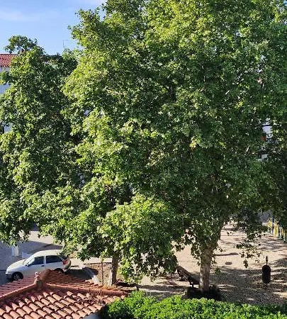 Апартаменти Albufeirasun, Arrive As A Guest Leave As A Friend. *