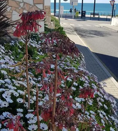 Albufeirasun, Arrive As A Guest Leave As A Friend. Lejlighed