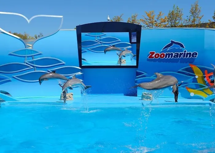 Albufeirasun, Arrive As A Guest Leave As A Friend. Albufeira