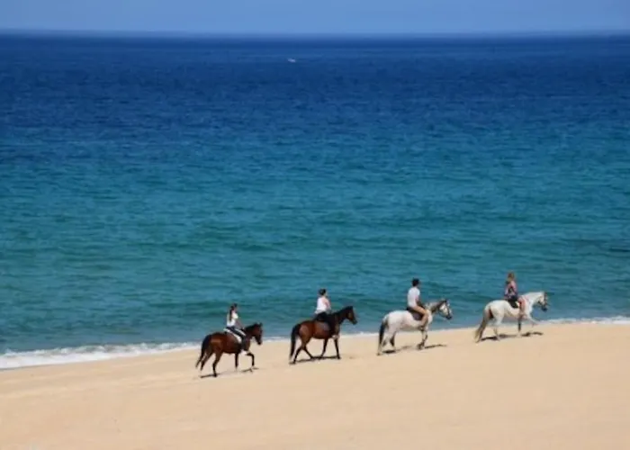 Albufeirasun, Arrive As A Guest Leave As A Friend.