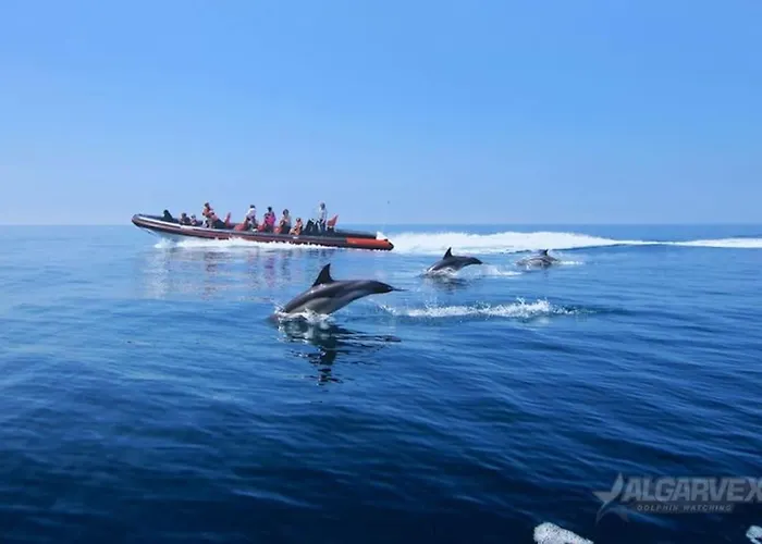 Albufeirasun, Arrive As A Guest Leave As A Friend. Appartement Albufeira