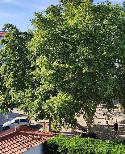 Appartement Albufeirasun, Arrive As A Guest Leave As A Friend. *