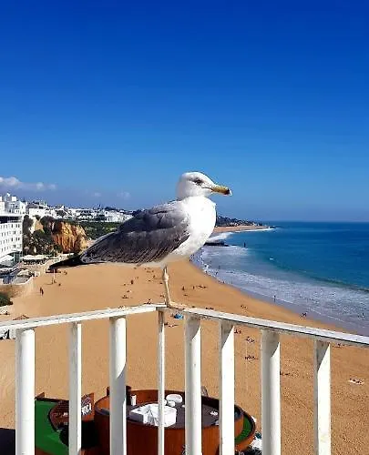 Albufeirasun, Arrive As A Guest Leave As A Friend. Appartement Albufeira