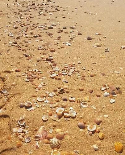 Albufeirasun, Arrive As A Guest Leave As A Friend. *