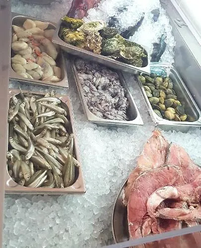 Albufeirasun, Arrive As A Guest Leave As A Friend. Appartement