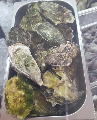 Appartement Albufeirasun, Arrive As A Guest Leave As A Friend. *