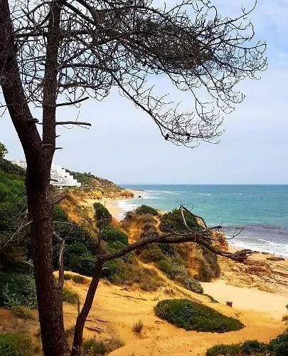 Albufeirasun, Arrive As A Guest Leave As A Friend. Appartement *