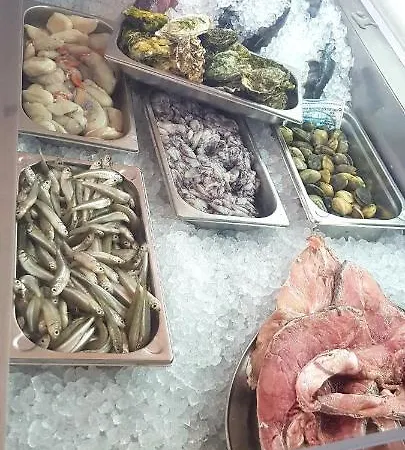 Albufeirasun, Arrive As A Guest Leave As A Friend. Appartamento