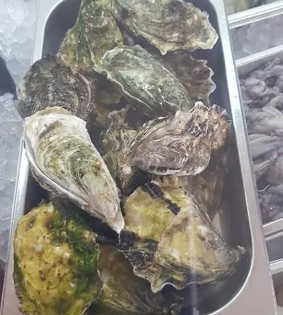 Appartamento Albufeirasun, Arrive As A Guest Leave As A Friend. *